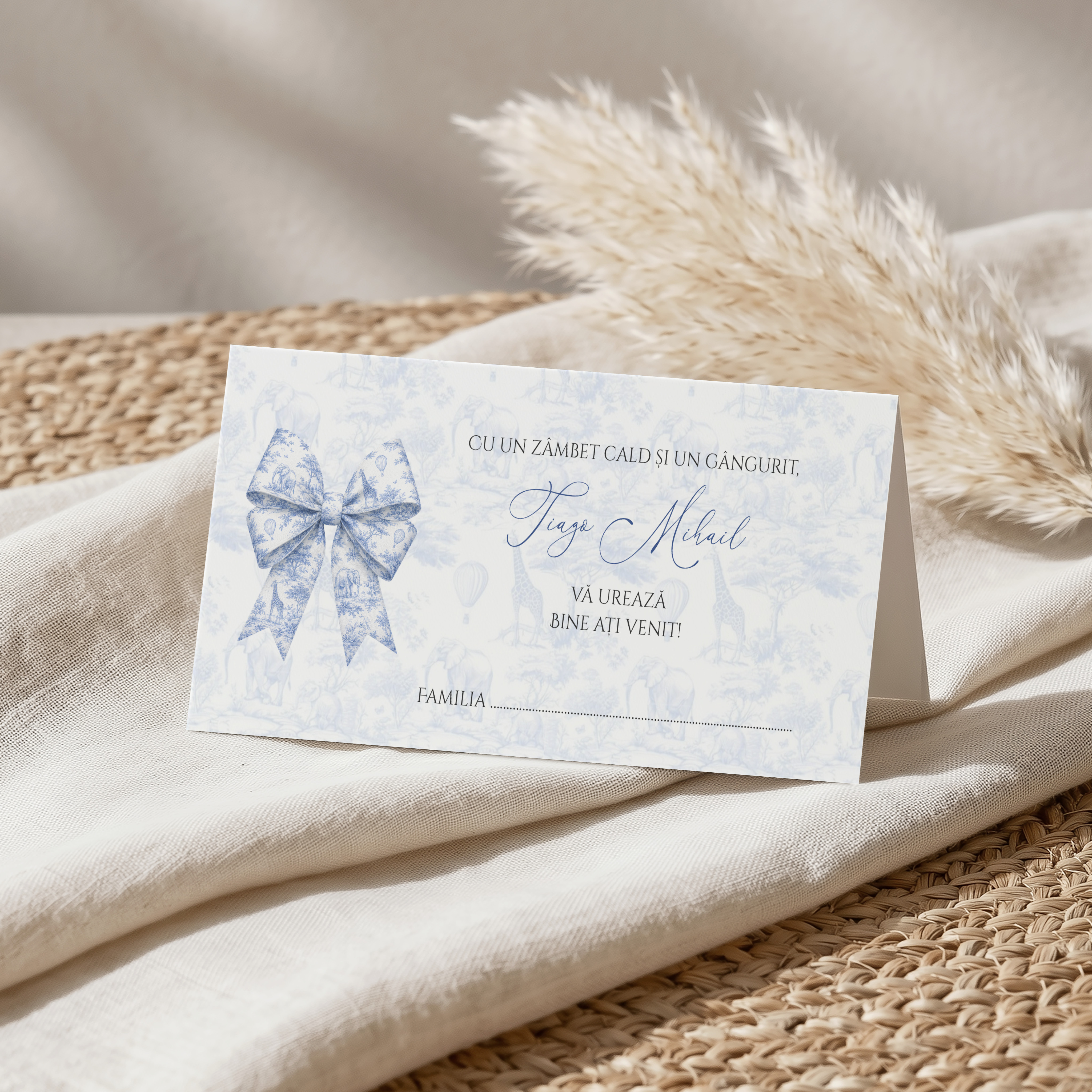 Plicuri de Bani Botez Baby Dior Safari - Toile de Jouy cu Fundă – imagine 1